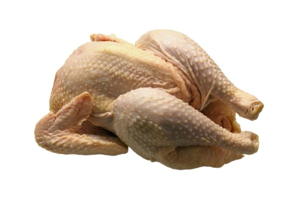 chicken, broiler, flesh-1140.jpg